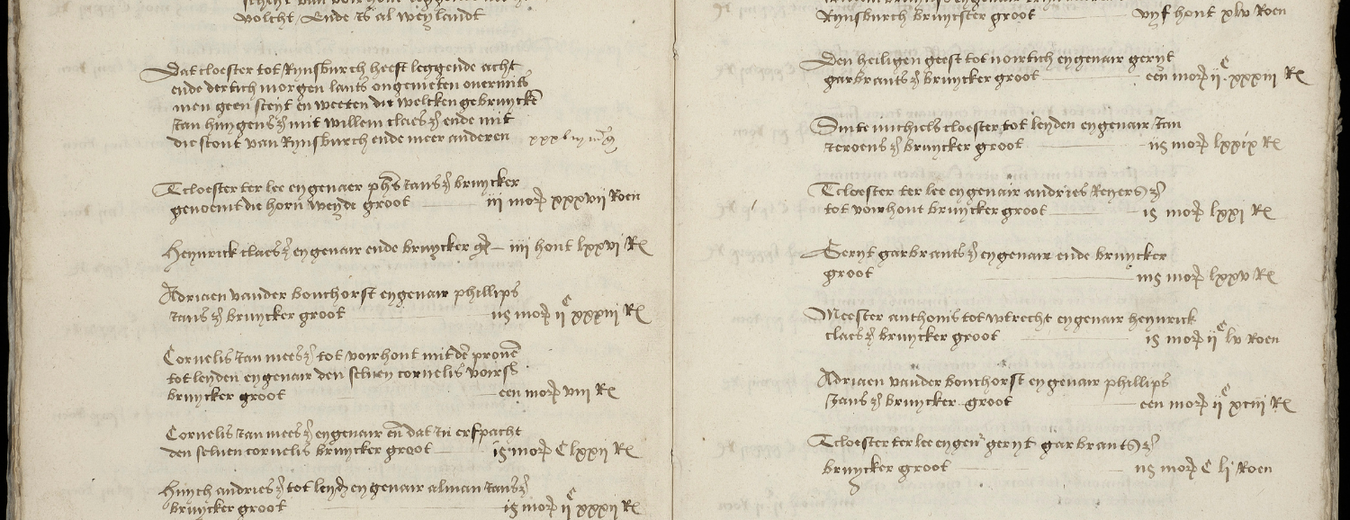 Rijnlands oppervlakte