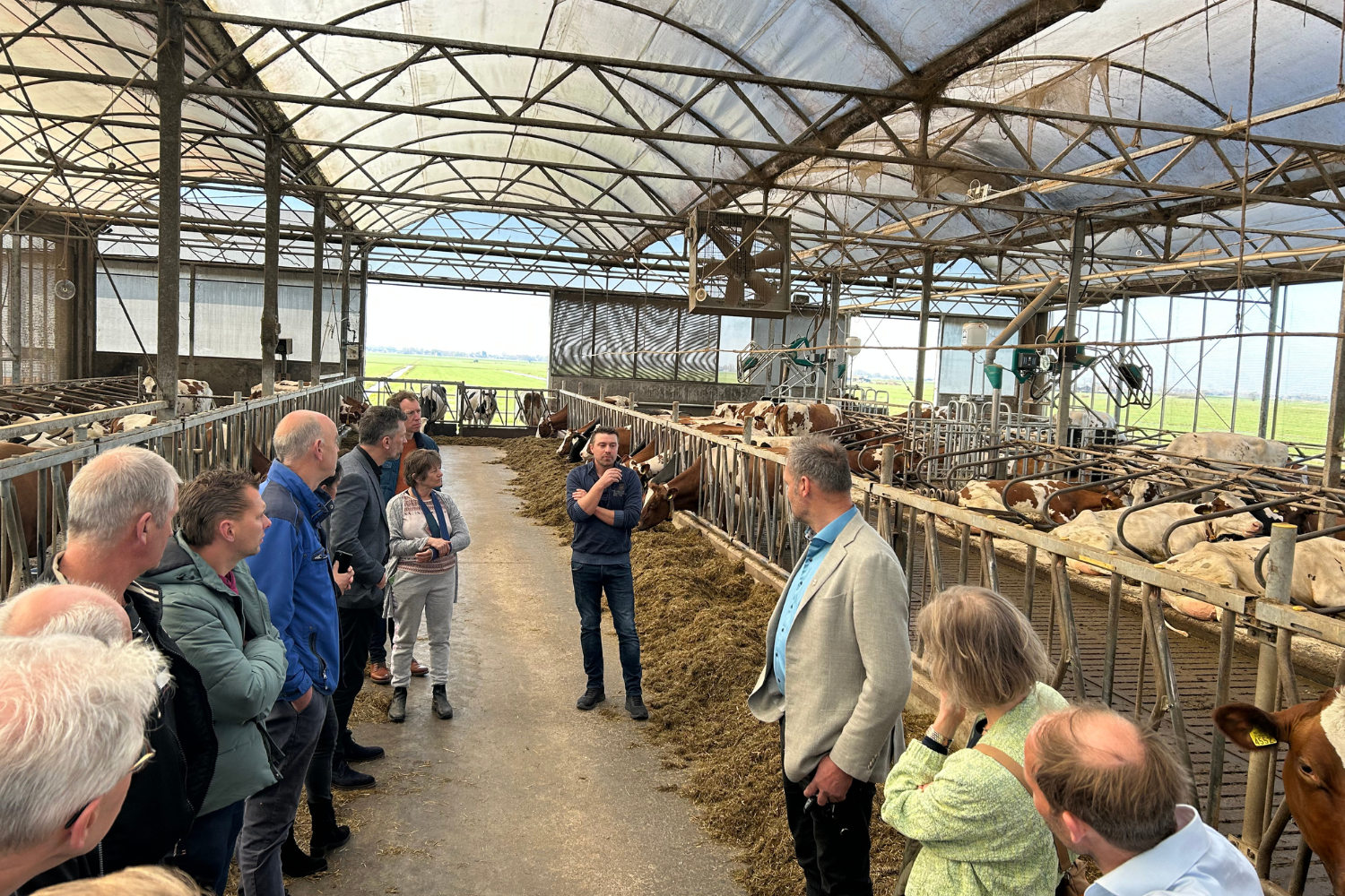 In de stallen Aarlanderveen