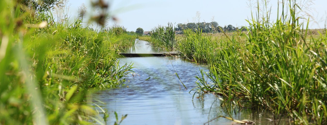 Sloot aan jouw grond