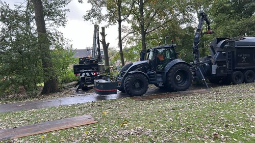 Boom weghalen nabij Rosenholmpad Hoofddorp