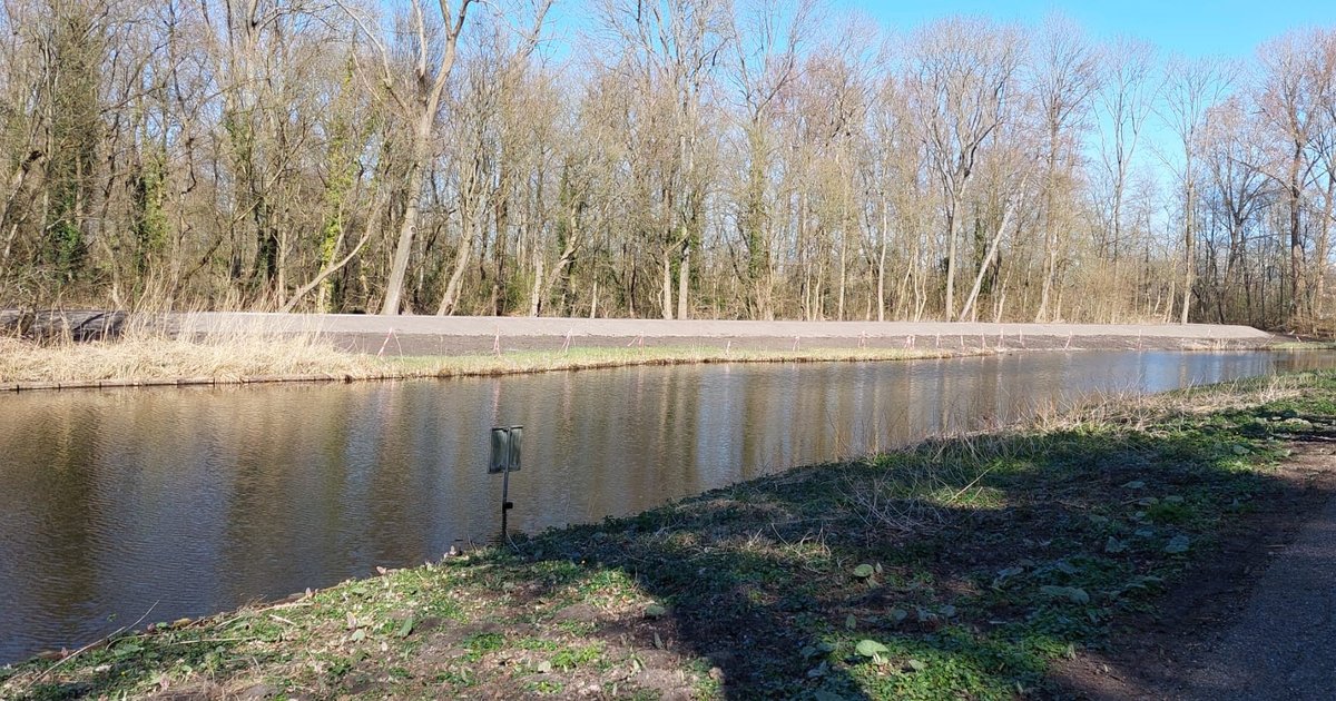 Dijken Amsterdamse bos