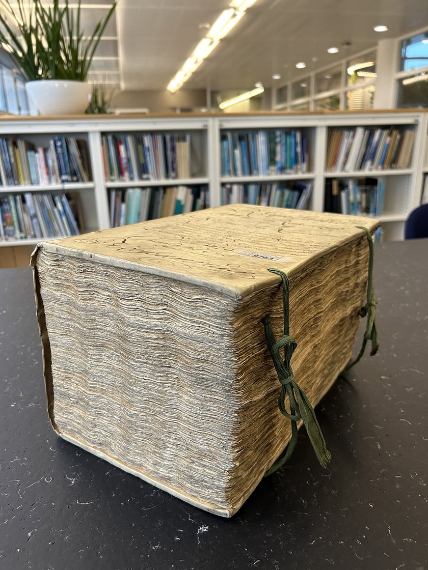 De tweede rekening van licentiaat-rentmeester Nicolaas Six over 1729