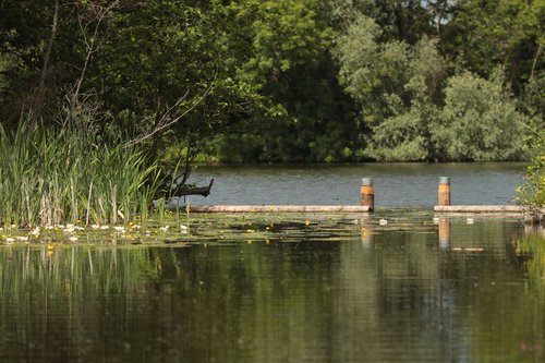 Bovenlanden Aalsmeer