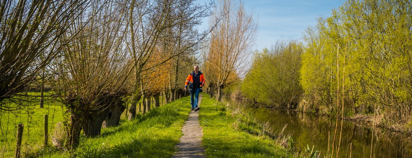 Dijkverbeteringsafbeelding