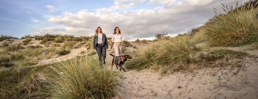 Wandelen in Rijnland