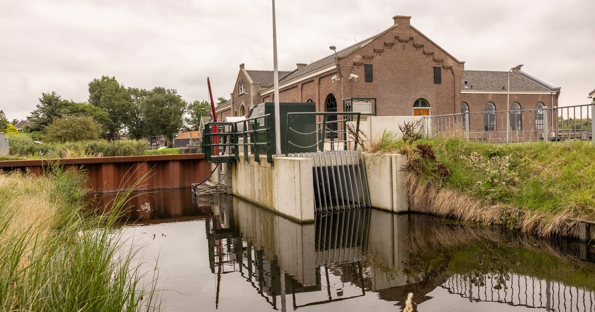Zaterdag 23 mei 2026: Kom naar de Vismigratiedag bij Boezemgemaal Spaarndam