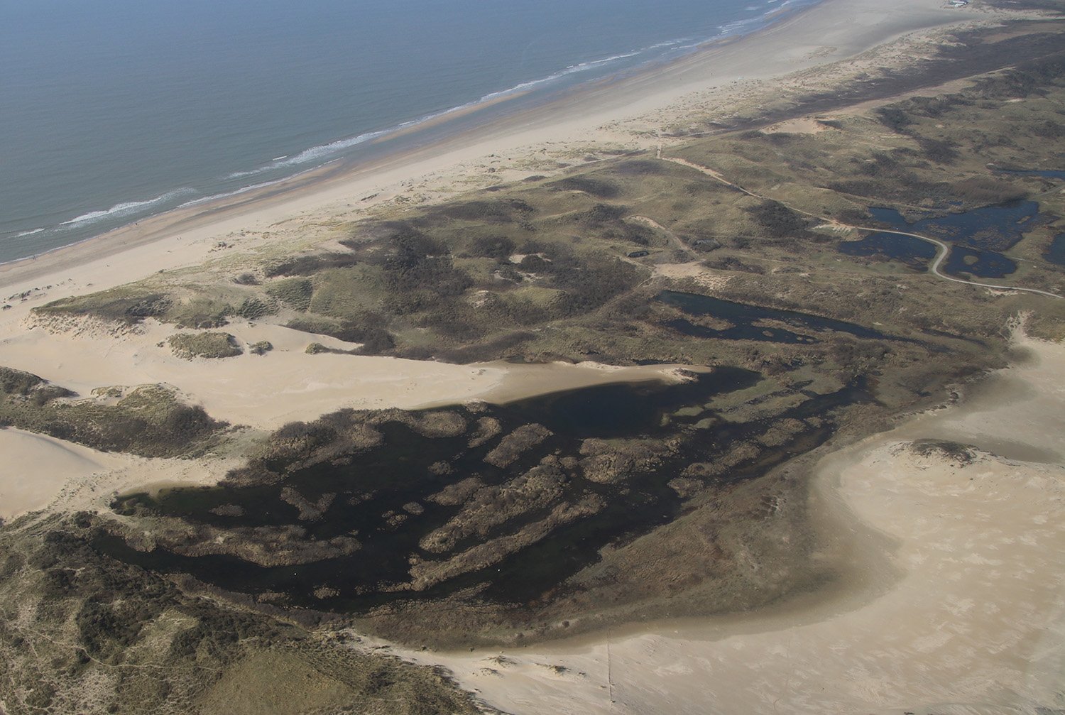 NoordwestNatuurkern_Bloemendaal_IMG8849