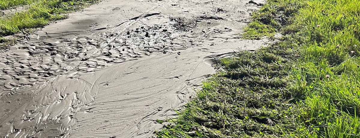 PHOTO-2025-11-04-20-00-25