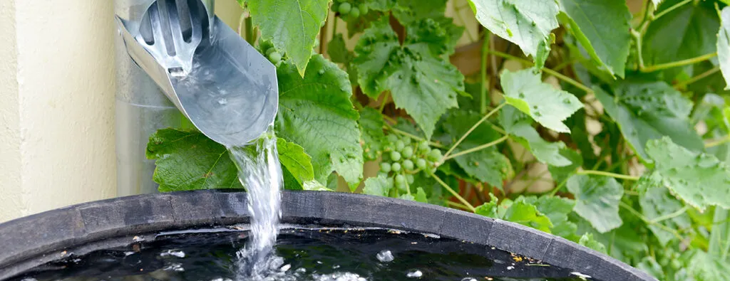 Regenpijp-afgekoppeld-origineel-1024x683-c-center