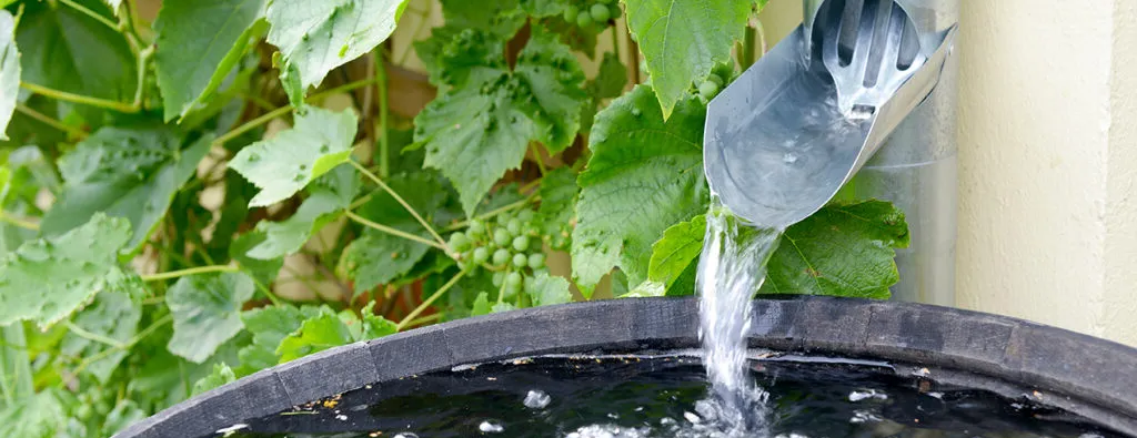 Regenpijp afkoppelen