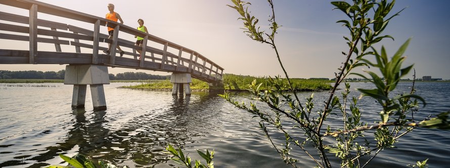 driemanspolder hardlopers
