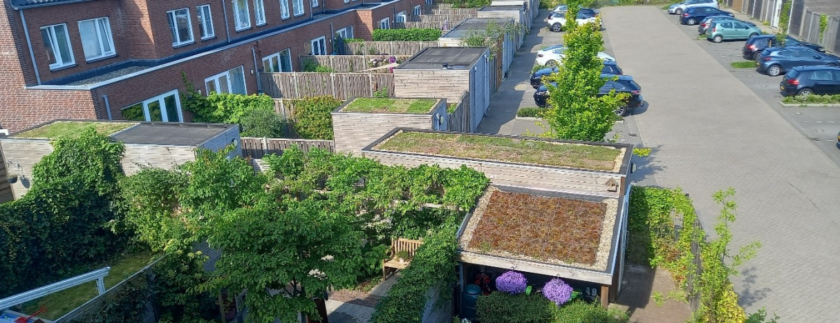 schuurdaken Vliegend Hert in Oegstgeest