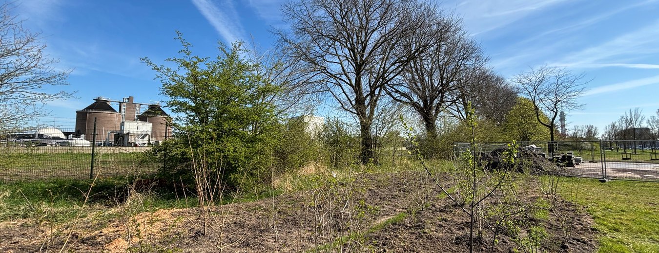 natuur voor de zuivering